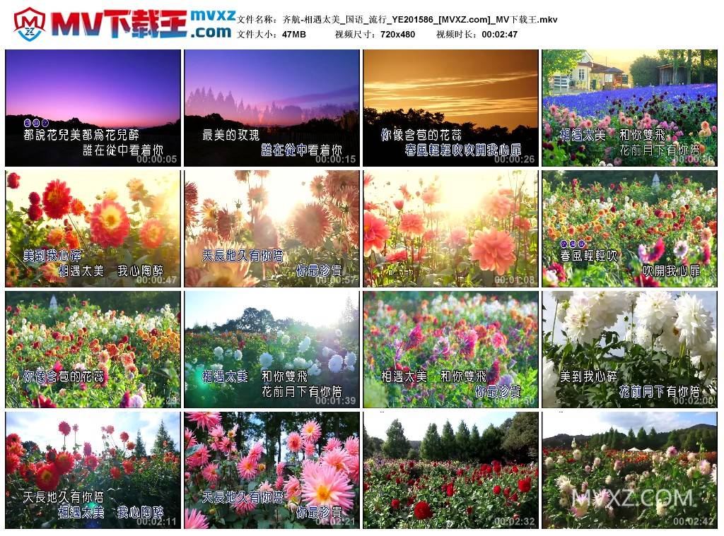 齐航-相遇太美_国语_流行_YE201586